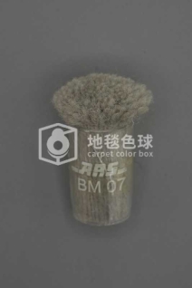 ARS BM07