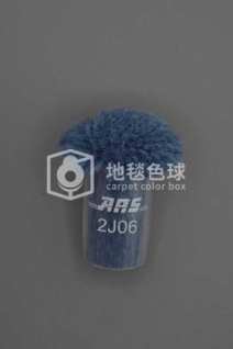 ARS 2J06