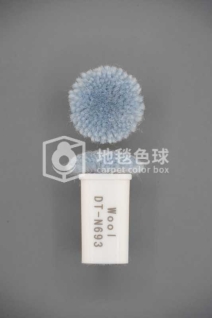 DT N693