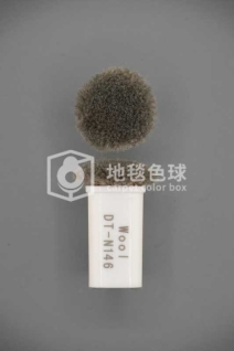 DT N146