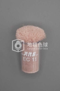 ARS EC11