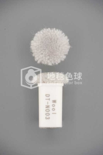 DT N003