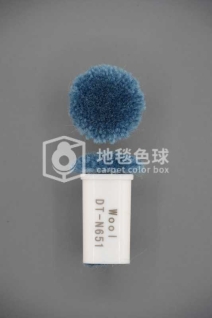 DT N651