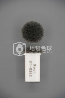 DT N363