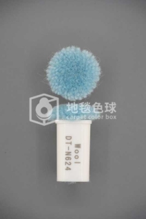 DT N624