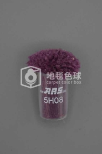 ARS 5H08