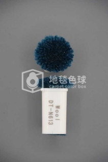 DT N613