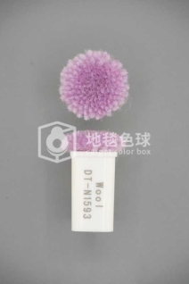 DT N1593
