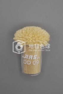 ARS DD09