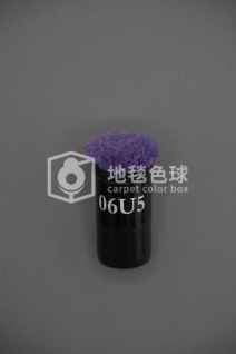 06U5