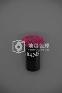 04N5