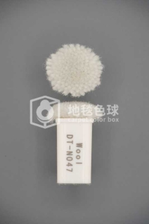 DT N047