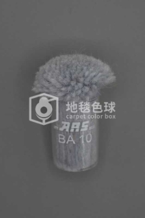 ARS BA10