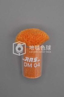ARS DM04