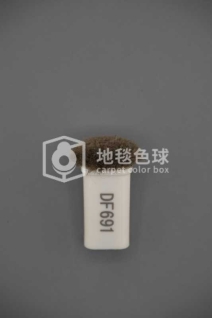 DF691