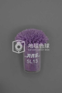 ARS 5L13