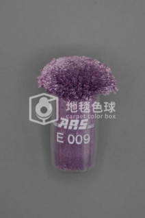 ARS E009