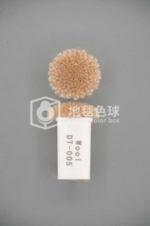 DT 005