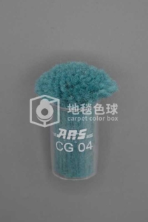 ARS CG04